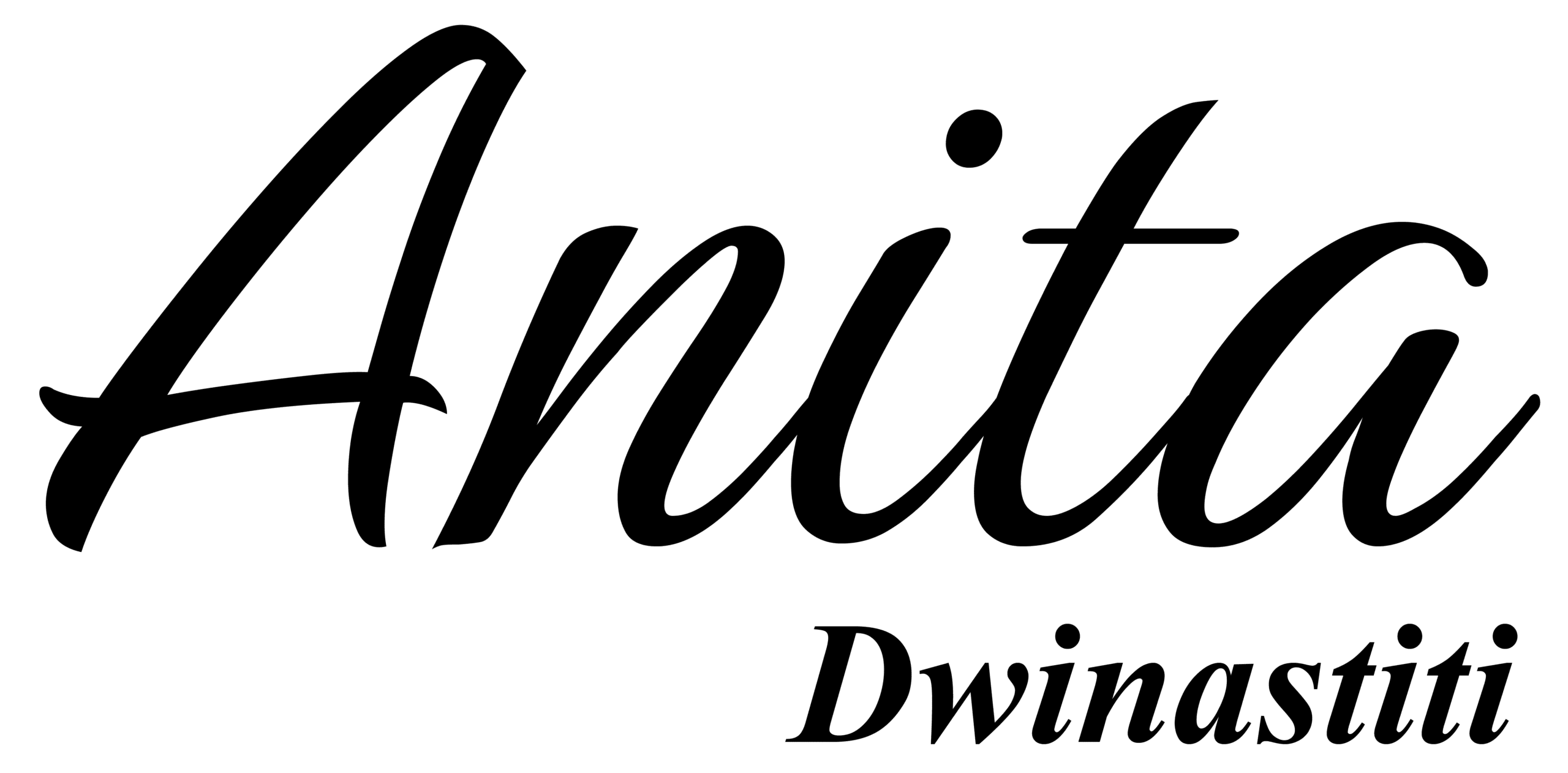 anitadwinastiti.com